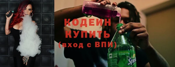 хмурый Мегион