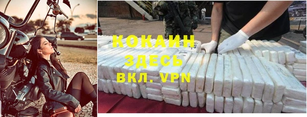 хмурый Мегион