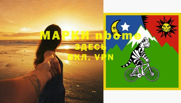 хмурый Мегион