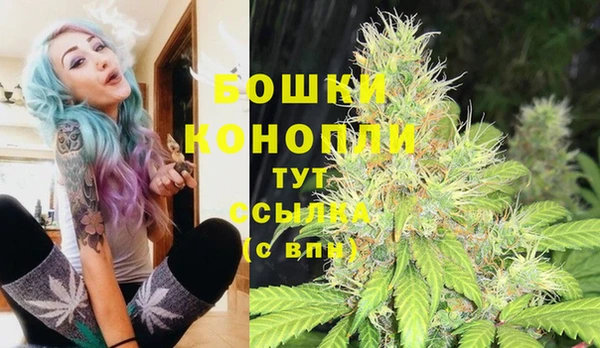 твердый Магадан