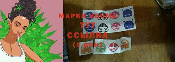 хмурый Мегион