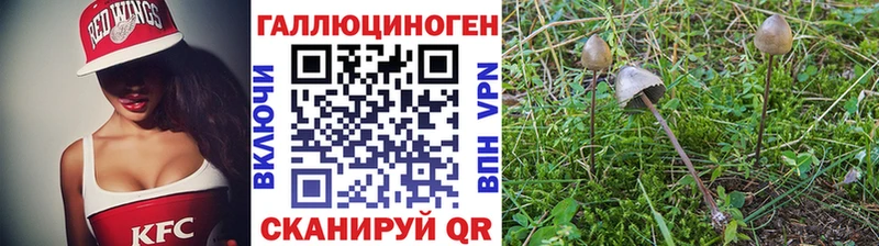 Псилоцибиновые грибы GOLDEN TEACHER цена Нелидово